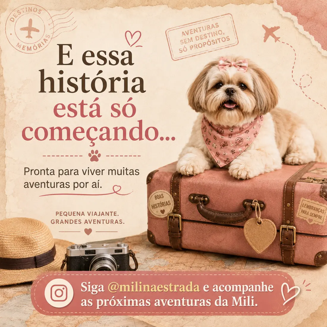 Mili sobre uma mala de viagem com a frase: E essa história está só começando